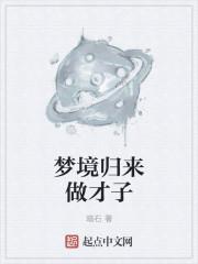 梦境归来做才子 梦境归来做才子
